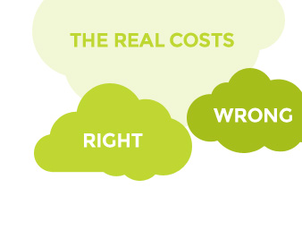 The wrong price and the <strong>Ryano price</strong>. Ryano always gives you a real price that includes up-front operational costs as well as implementation costs.